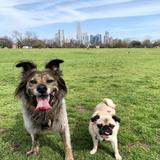 Zilker Park