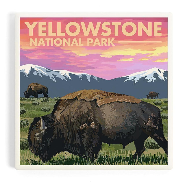 Lantern Press Yellowstone National Park, Bison and Sunset (Absorbent Ceramic Coaster, Single, Cork Back, Kitchen Table Decor)