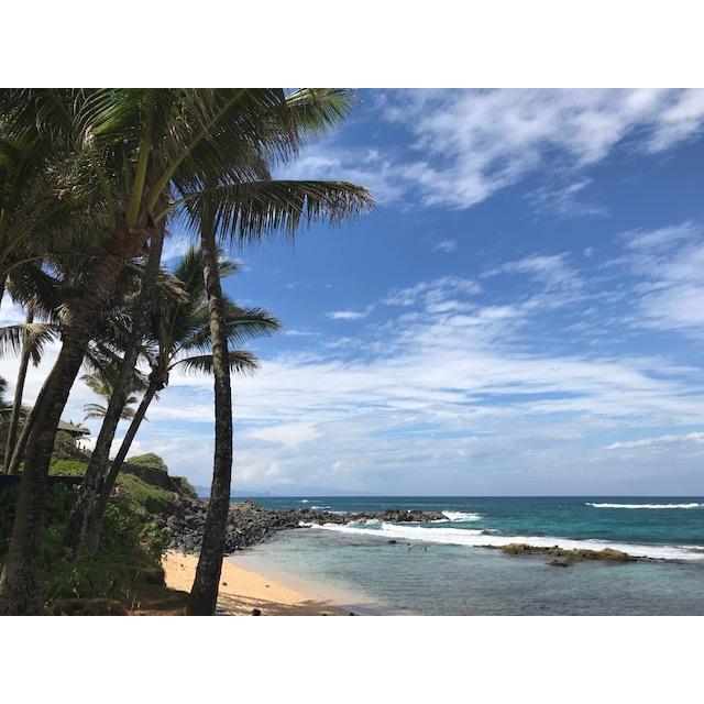 One of the amazing beaches from our drive on the Road to Hana.
