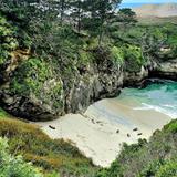Point Lobos State Natural Reserve