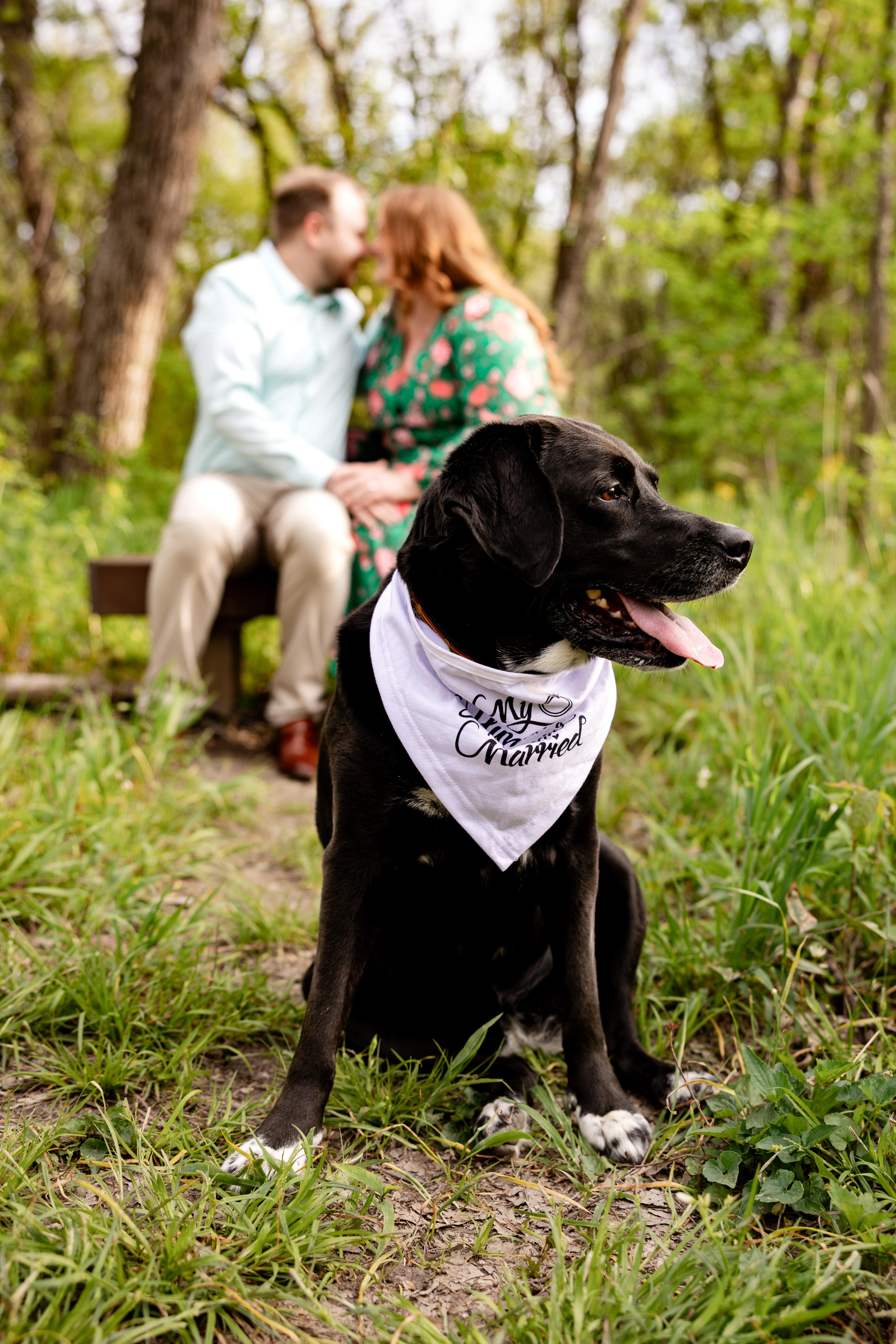 The Wedding Website of Haley Welch and Robby Schwartz