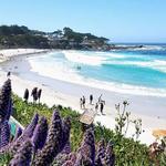 Carmel Beach