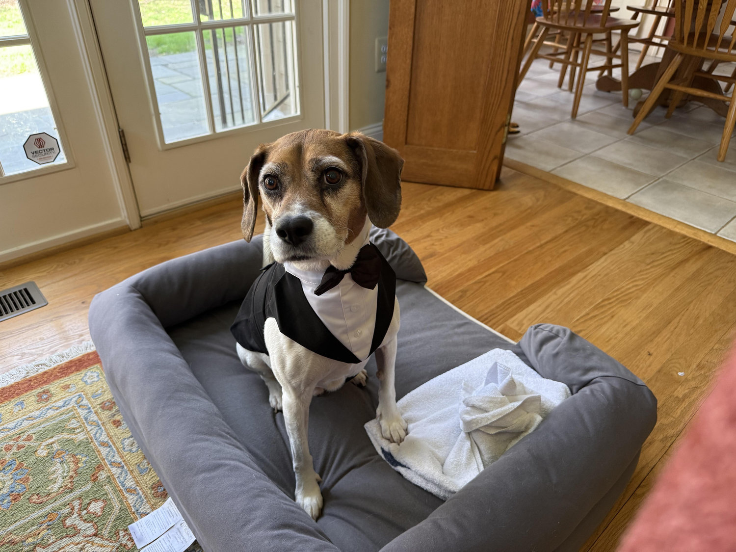 The Wedding Website of Caroline Greaney and Terance Cheung