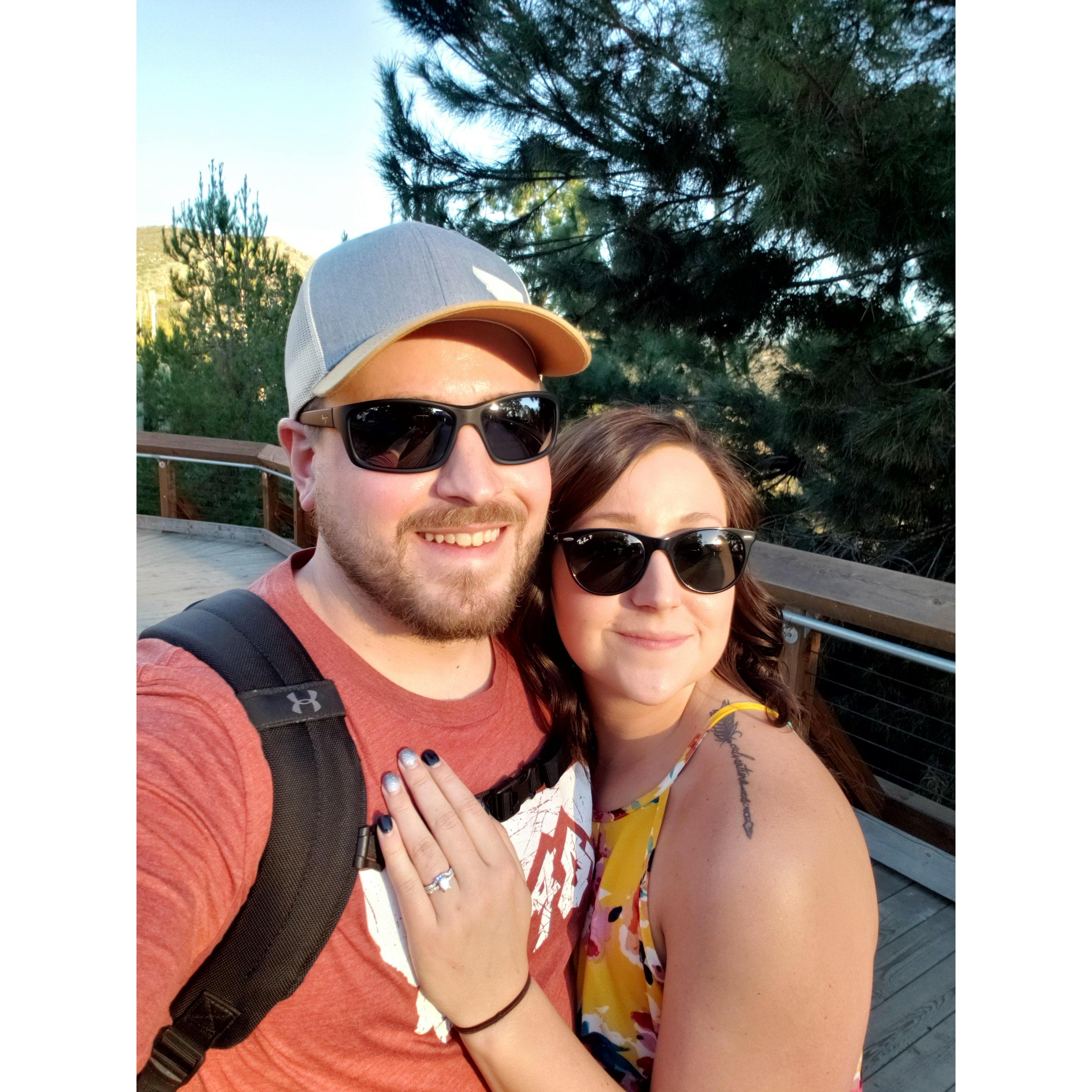 A stroll through San Diego Zoo the day after James proposed.