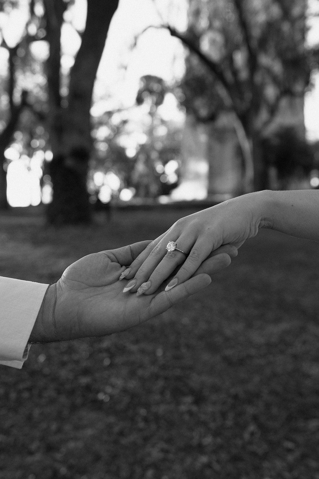 The Wedding Website of Alexis Marie Shook and Lorenzo Vincent Carducci