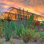 Desert Botanical Garden
