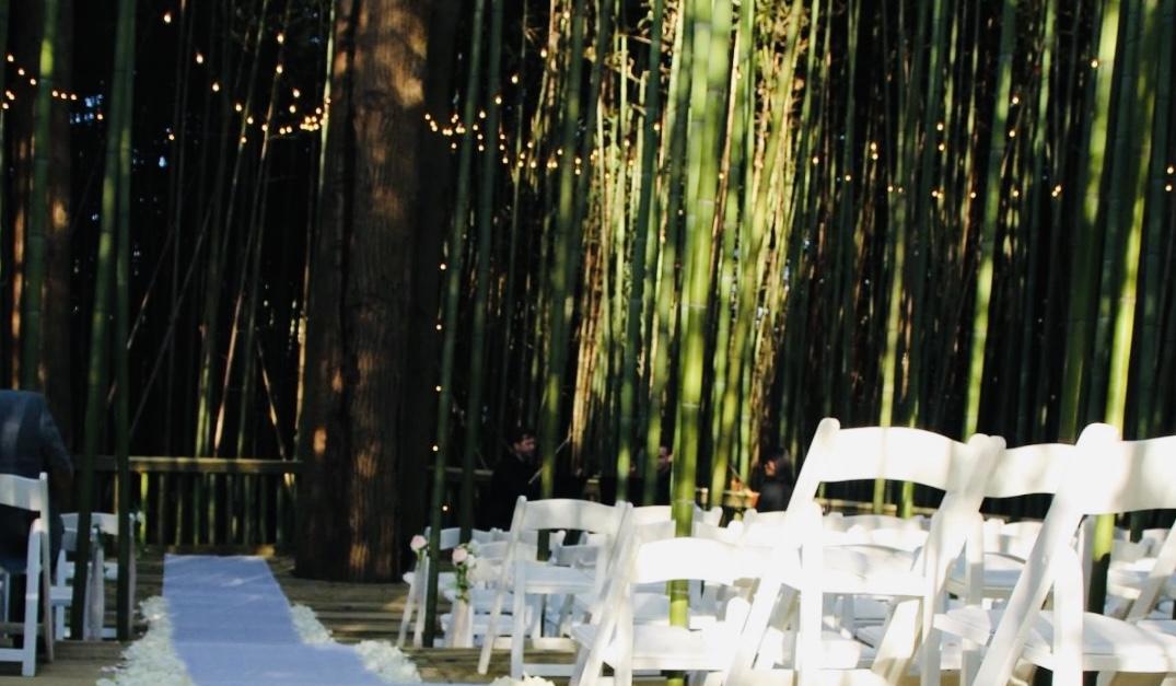 The Wedding Website of Angel Lowe and Dustin Love
