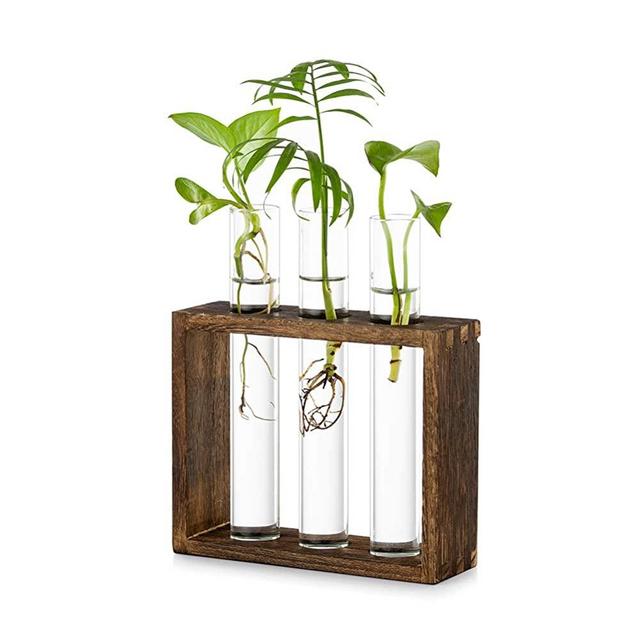 Tabletop Hanging Glass Planter Propagation Station Modern 3 Test Tube Flower Bud Vase in Wood Stand Rack Tabletop Terrarium for Hydroponic Plants Cuttings Office Home Decoration, Gift for Plant Lover