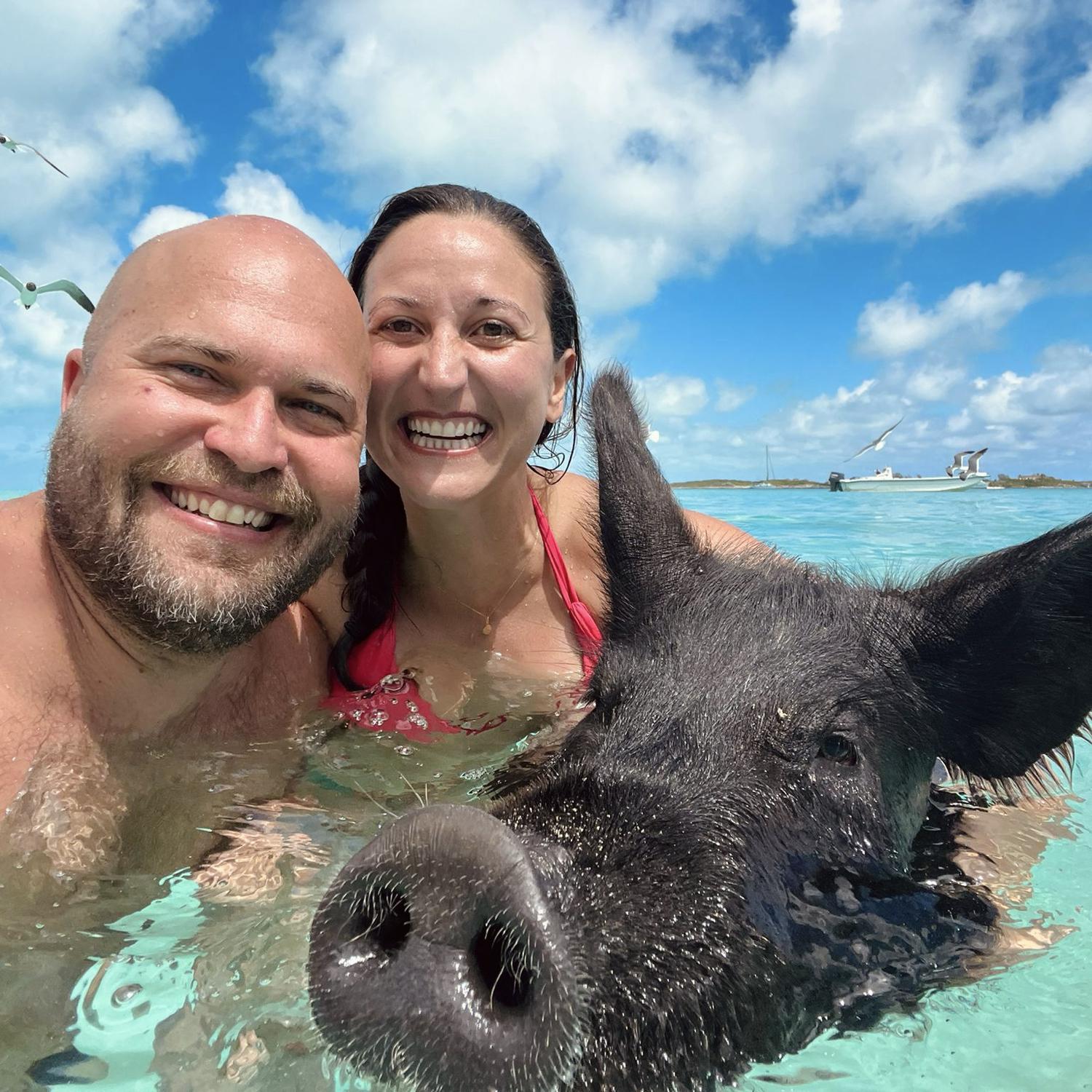 Bahamas swimming with the pigs!