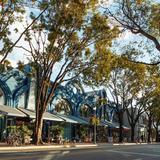Coconut Grove