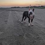 Sullivan's Island Beach