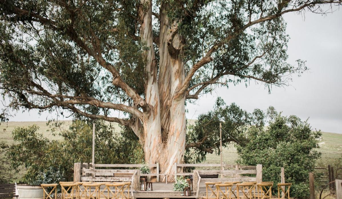 The Wedding Website of Katharine Gibbs and Dane Edmondson