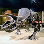 Cleveland Museum of Natural History