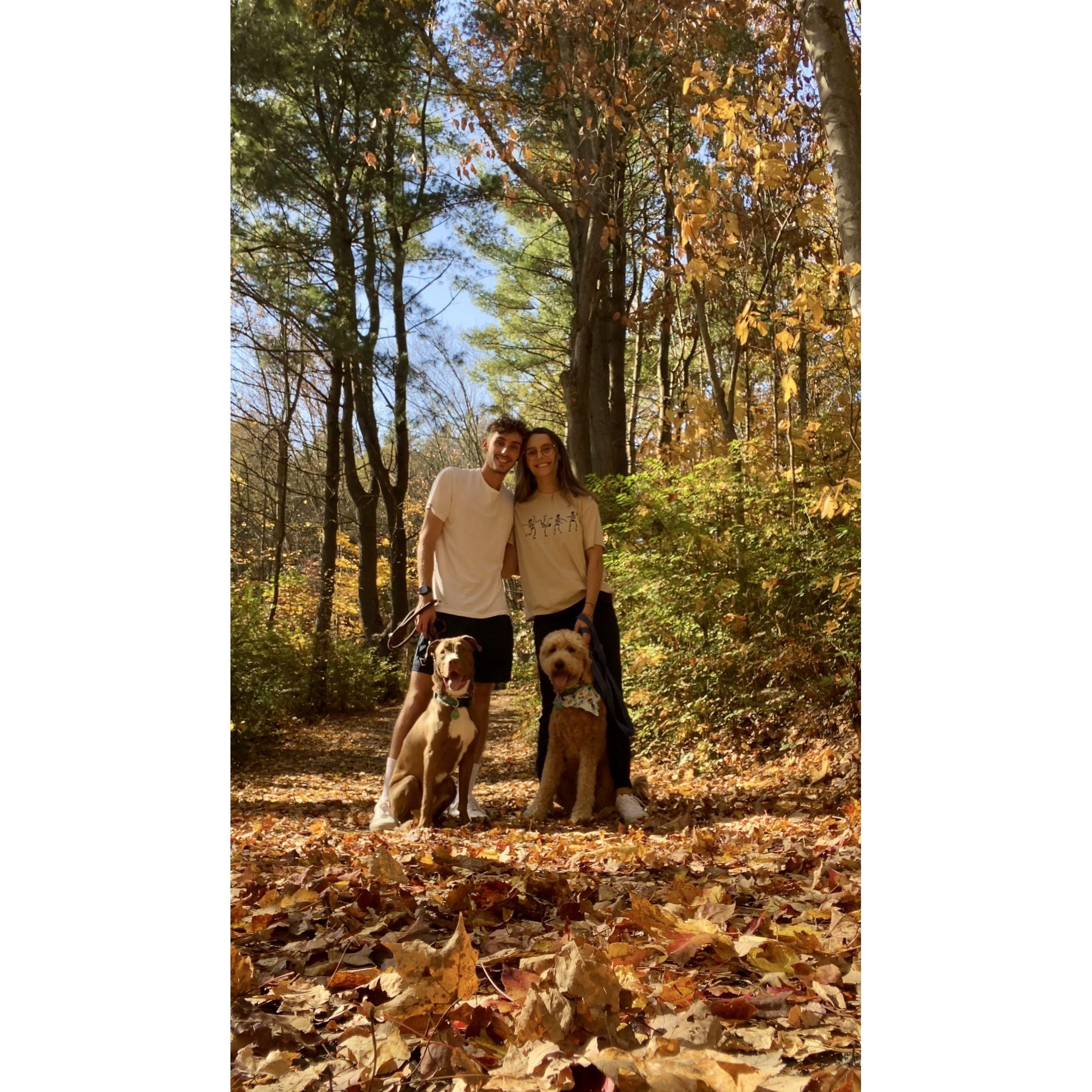 Walks with our pups