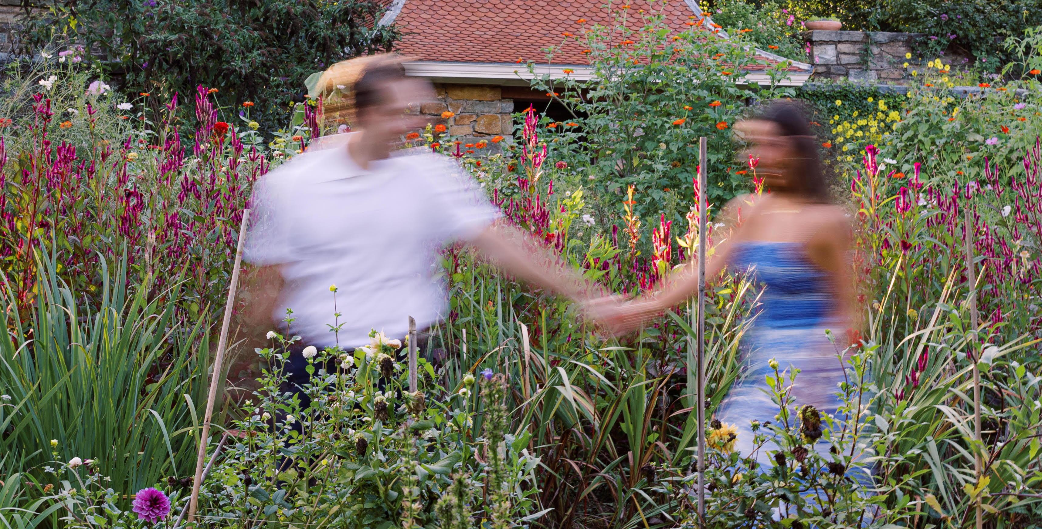 The Wedding Website of Soraya Todd and Matthew Dziekonski