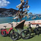Bike and E-Bike Rentals and Tours