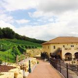 Wollersheim Winery & Distillery