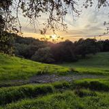 Taylor Mountain Regional Park