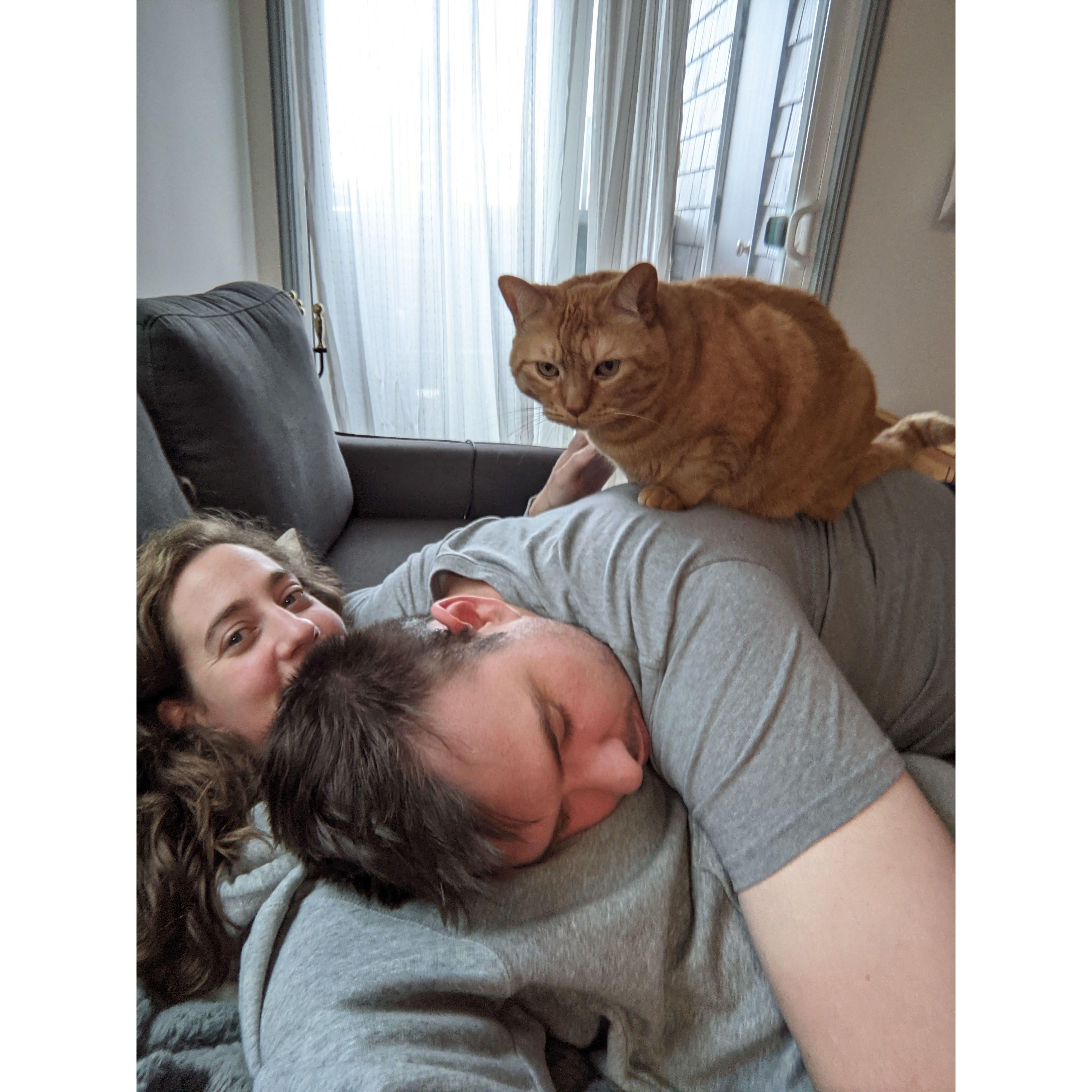 Cat pile!