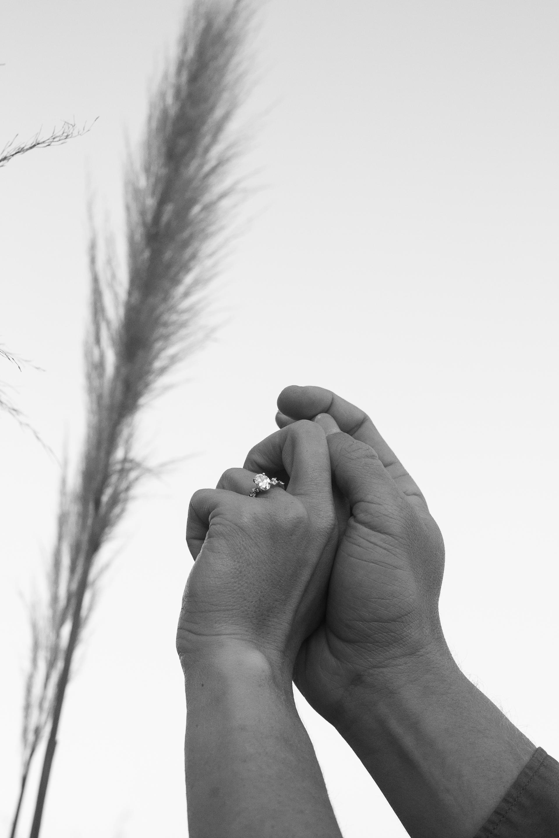 The Wedding Website of Anrich Roux and Annemike Bronkhorst