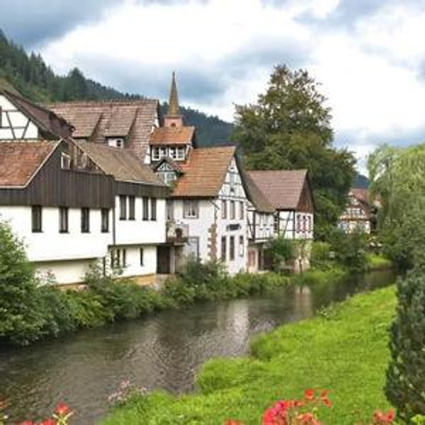 Excursions for our Honeymoon