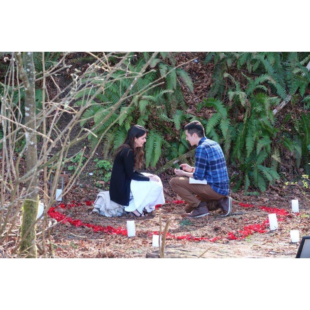 The proposal