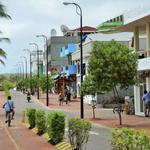 Evening Stroll Along Charles Darwin Avenue