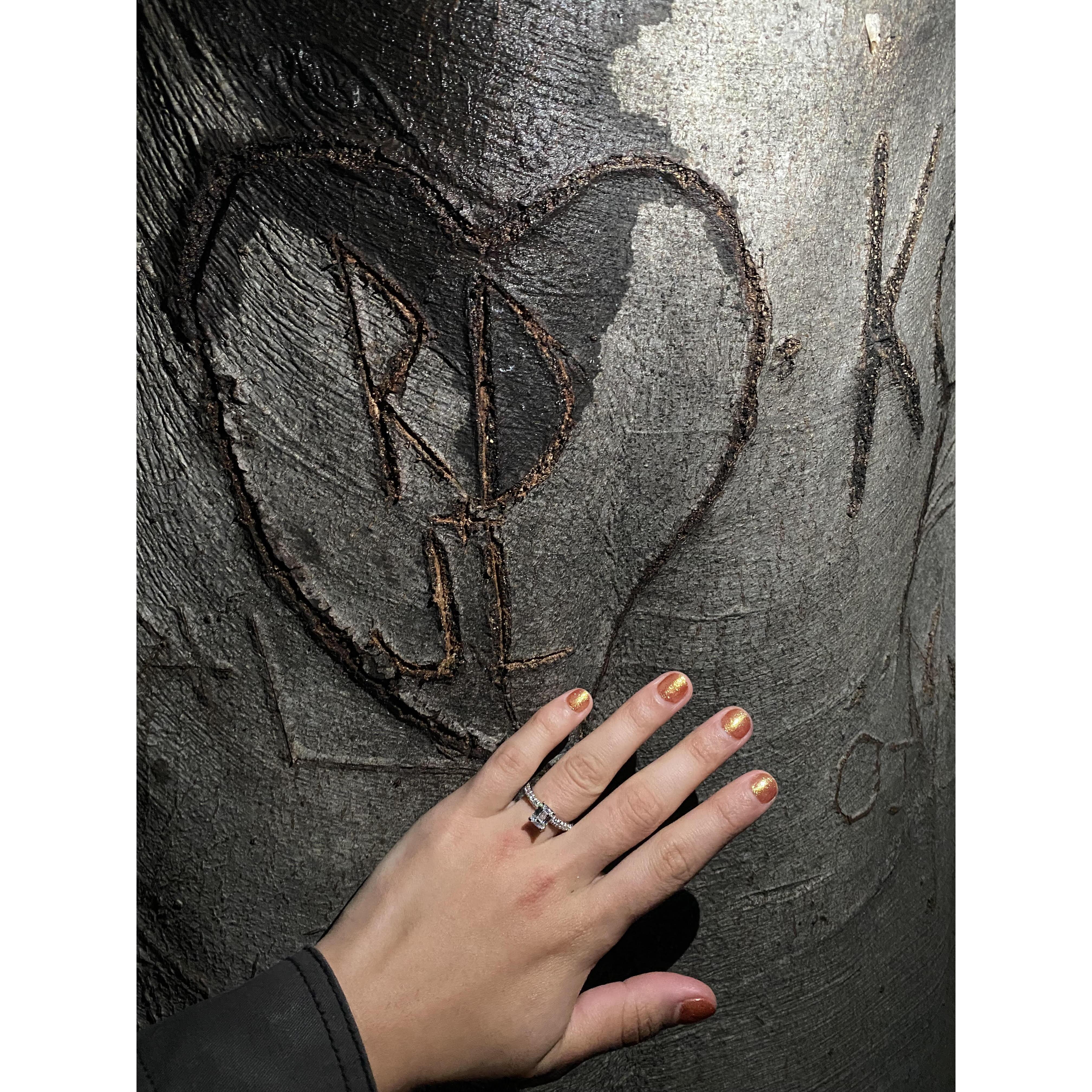 Proposal
