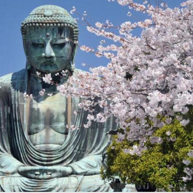 Kamakura experience