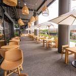Sycamore Brewing