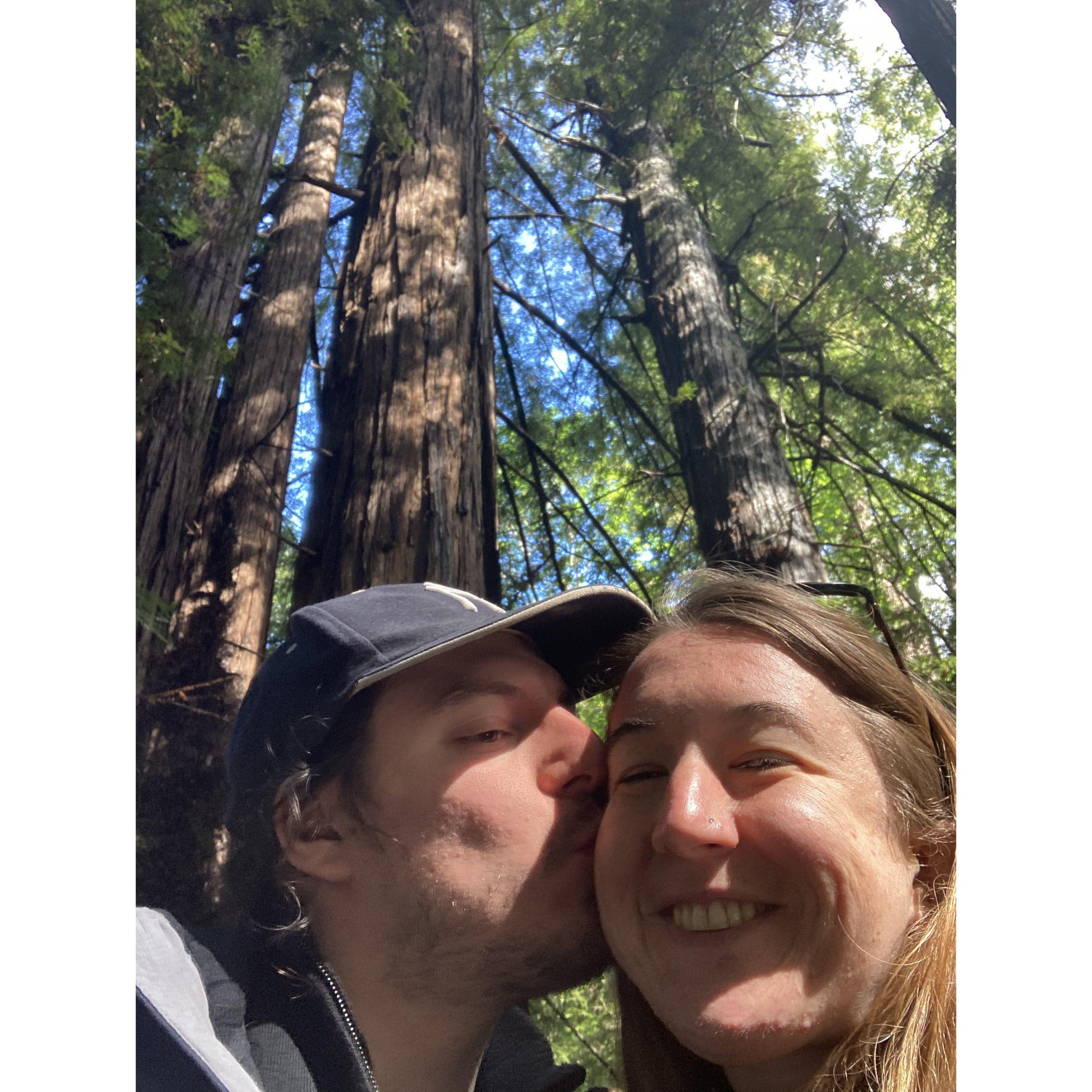 Amongst the redwood trees in Big Sur, California - 2022