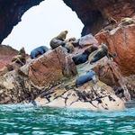 Paracas & the Ballestas Islands