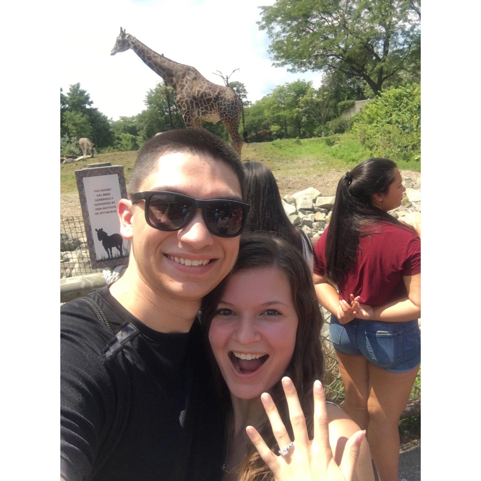 Engagement at the Pittsburgh Zoo