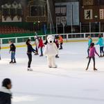 Snoopy's Home Ice