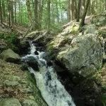 Orris Falls Conservation Area