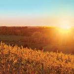 Traverse City Visitor's Bureau