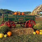 Rose Valley Animal Park