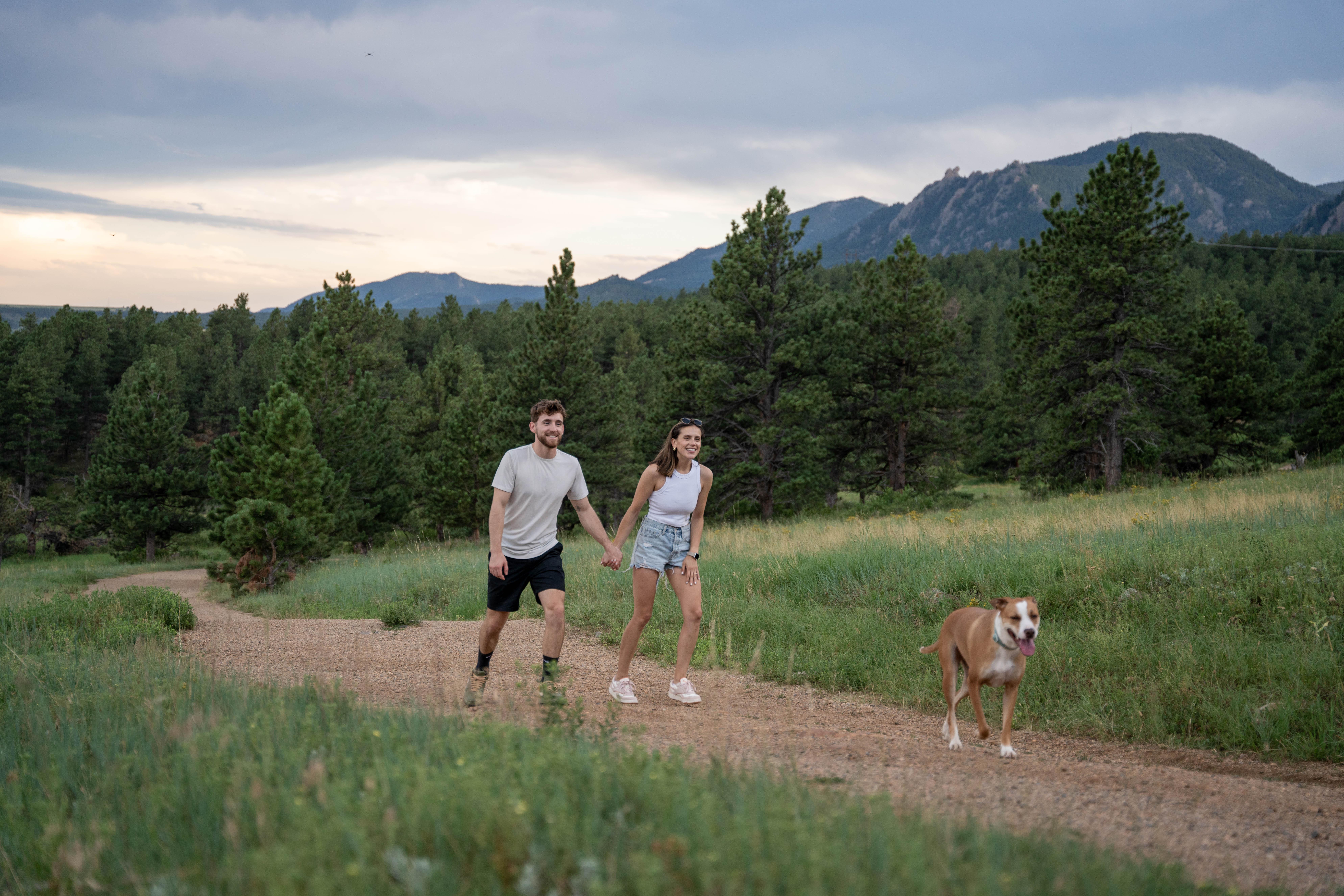 The Wedding Website of Leila Meymand and Jesse McNeill