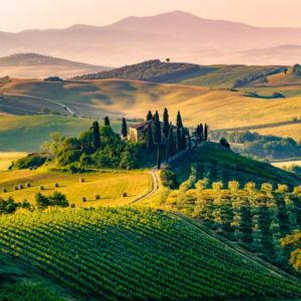 Exploring Florence and Tuscany