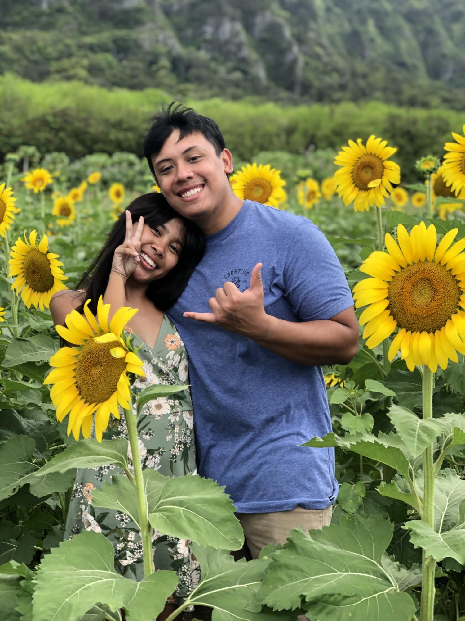 More sunflowers!🌻 it's a yearly tradition!