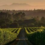 Martinelli Vineyards & Winery