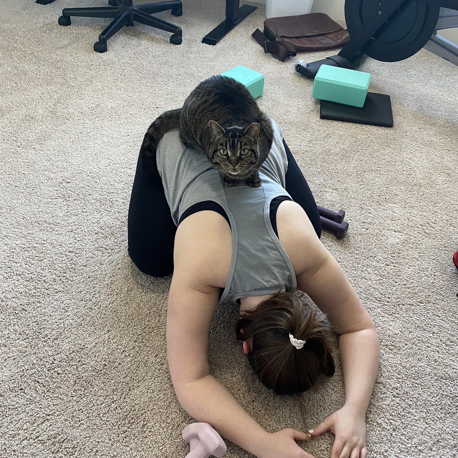 Family yoga 😂
