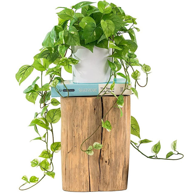 MY ROVALA Artificial Plants for Home Decor Indoor (with Pot) - Pothos Plant