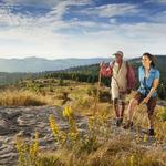 Asheville Hiking Trails