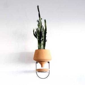 The Holistic Habitat Wall Mount Funnel Planter-Natural