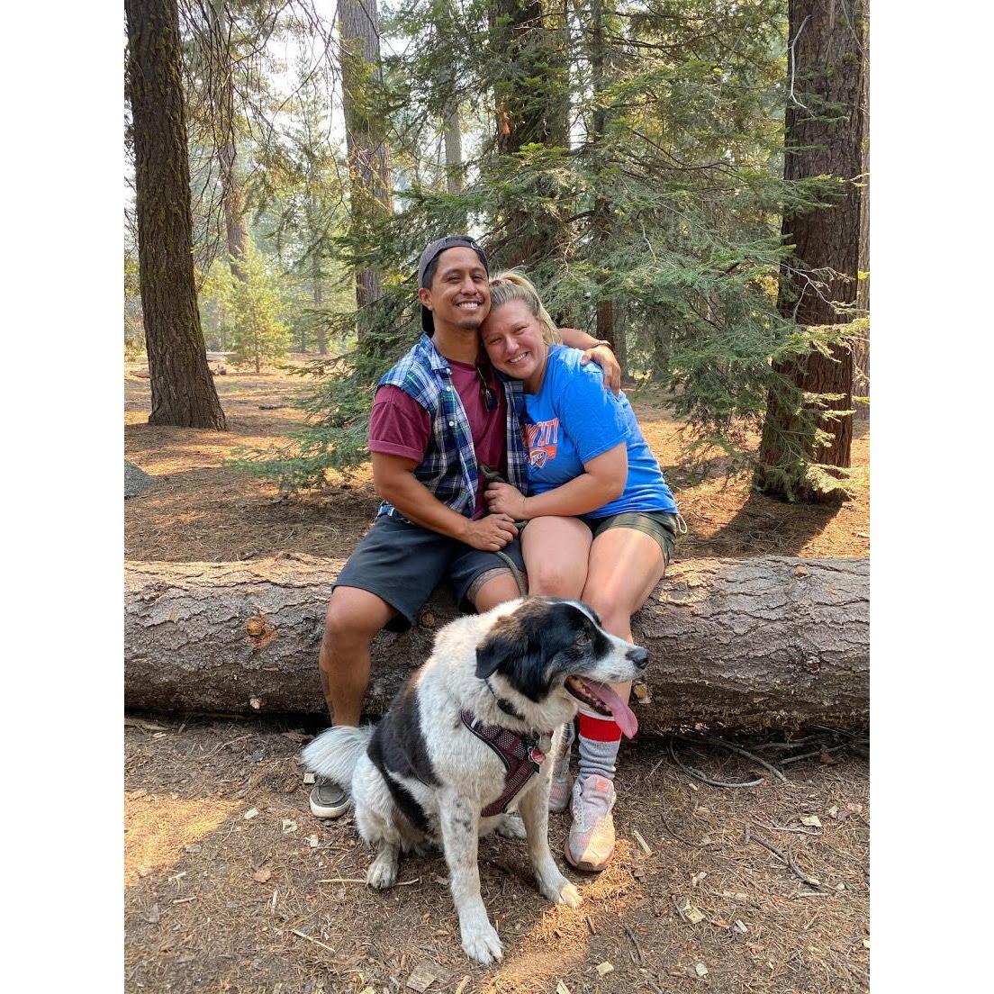 Sequoia National Forest