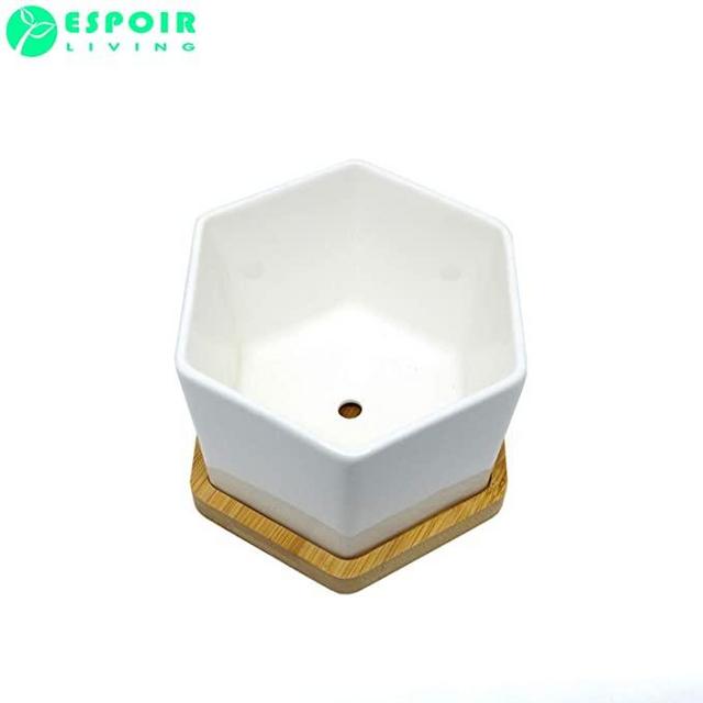 4-Inch Hexagonal White Ceramic Succulent Planter with Bamboo Tray | Set of Two | Minimalist Design