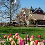Peddler's Village