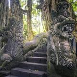 Sacred Monkey Forest Sanctuary