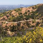 Runyon Canyon Park